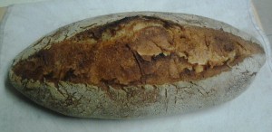 Dale's Italian Rustic Sourdough 